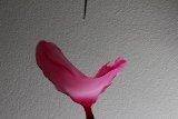 bursting balloon