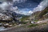 Braunwald