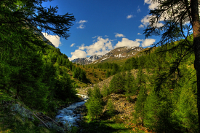 Guarda