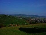 Hallau