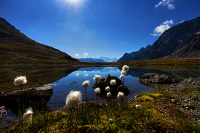 Pass Suvretta