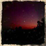 phone cam picture