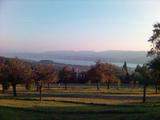 phone cam picture