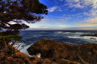 Point Lobos