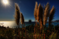 CA coast