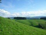 Black Forest