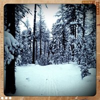 Pontresina