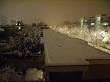 snow